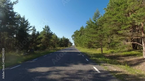 Drive through the forest to the sea. Hiiumaa island, Estonia.