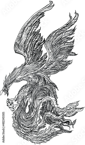 Phoenix Fire bird illustration and character design.Hand drawn Phoenix tattoo Japanese and Chinese style,Legend of the Firebird is Russian fairy tales and it is creature from Slavic folklore.