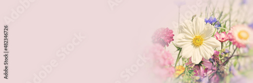 Beautiful wildflower meadow...