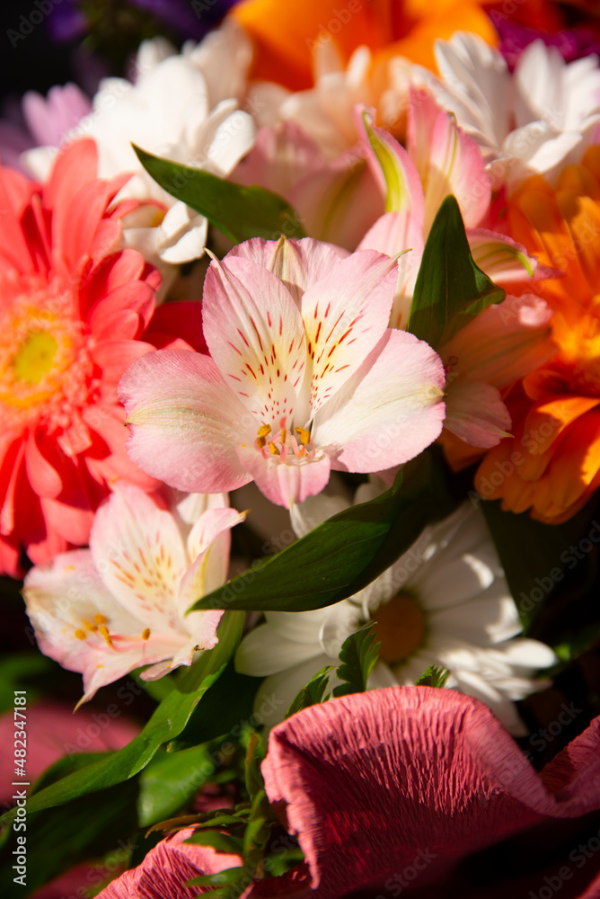 Beautiful color of shades, textures and nuances in a set of ornamental bouquets with flowers of all varieties and sizes completely harmonized