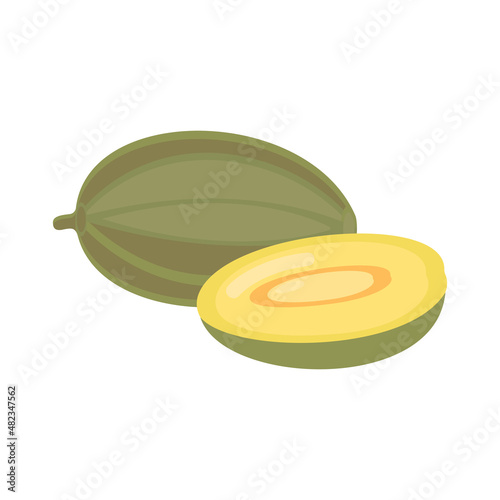 On a white background, a whole, fresh melon is isolated. For any design, a vector illustration.