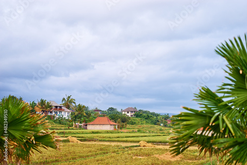 Beautiful landscape with traditional balinesse houses and rice field.