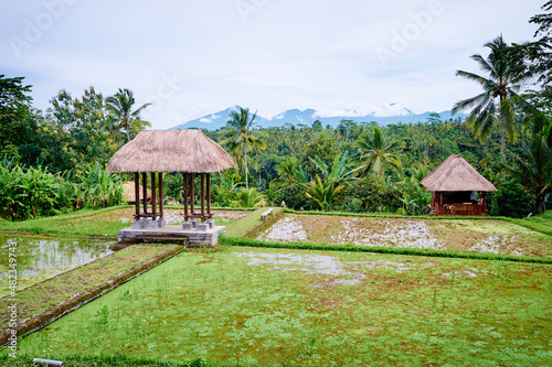 Beautiful green balinese landscape with pavilion on rice field with mountains view.