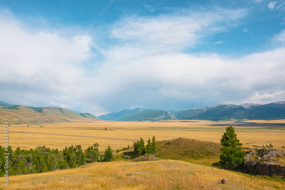 Dramatic view from forest to high mountain range in sunlight during rain in changeable weather. Colorful landscape with green forest and sunlit steppe against large mountains under cloudy sky in rain.