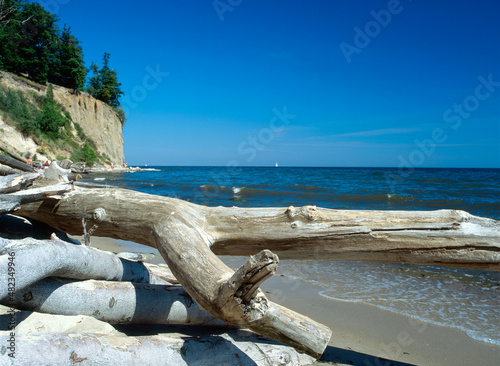 Cliff coast, Gdynia Orlowo (Or³owo), Baltic Sea, Poland photo