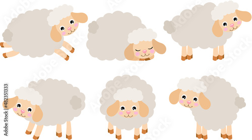 Group of six cute lamb sheeps