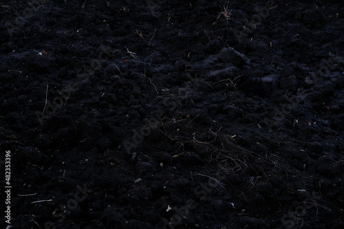 black soil. Care about environment or agriculture. Closeup. Point of view shot.
