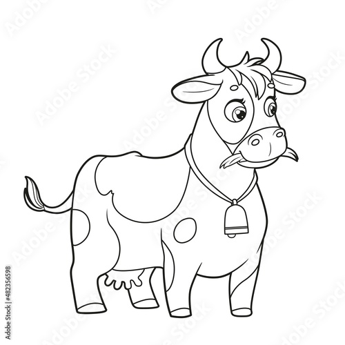 Cute cartoon cow eating hay outlined for coloring book on white background