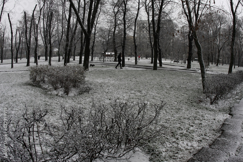 Photography person walking a pathway of a park road covered in snow with bare trees and bushes around