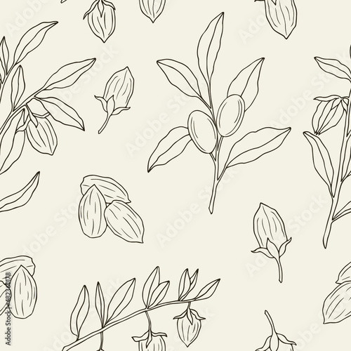 Hand drawn jojoba seamless pattern