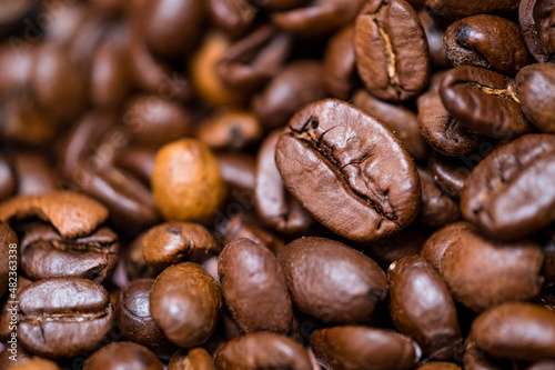 einzelne Makroaufnahme braune Kaffeebohne