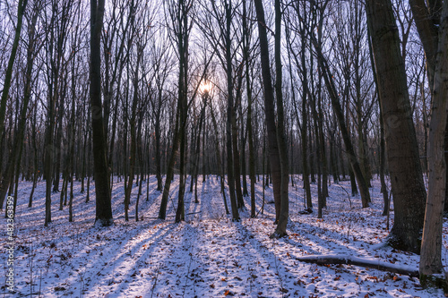the sun sets behind the winter forest