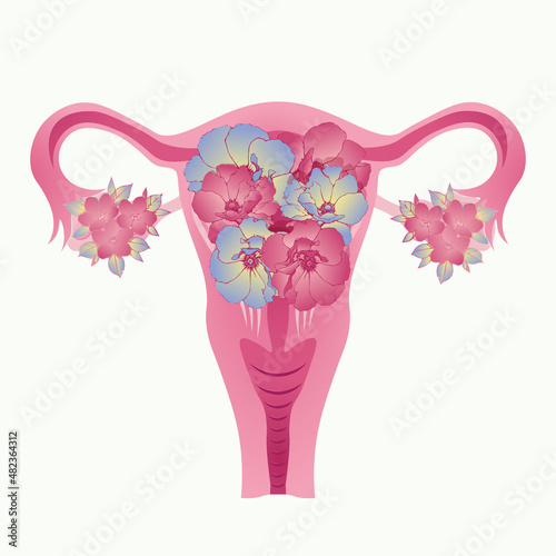 anatomy of the female reproductive system, uterus with flowers