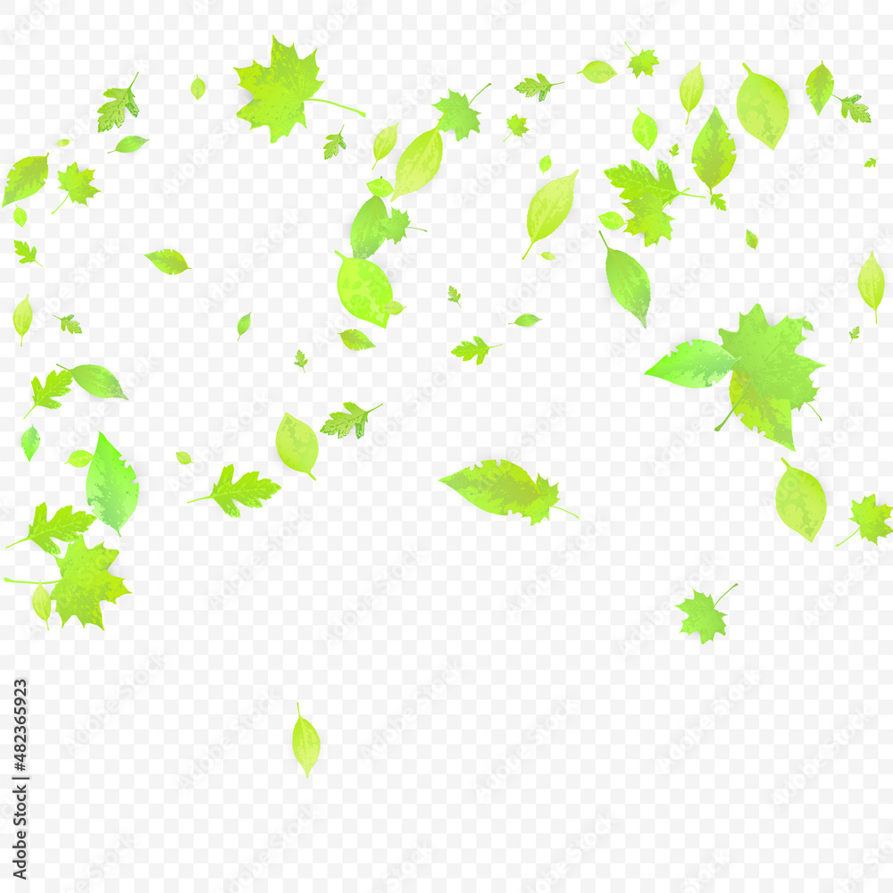 Leaves Falling Spring Flying Foliage Green Leaf Leaves Falling Spring Flying Foliage Green Leaf