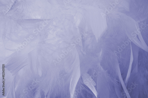 Abstract Very Peri purple color feathers background. Fluffy feather fashion pastel texture.