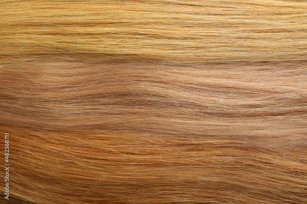 Different shade female hair on whole background Different shade female hair on whole background