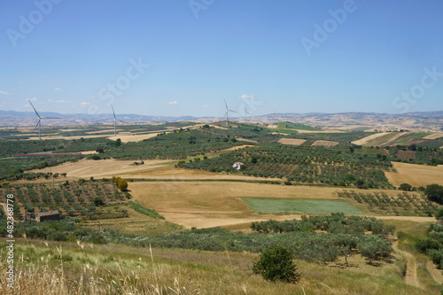 Rural landscape of Gargano, Apulia, Italy, in June