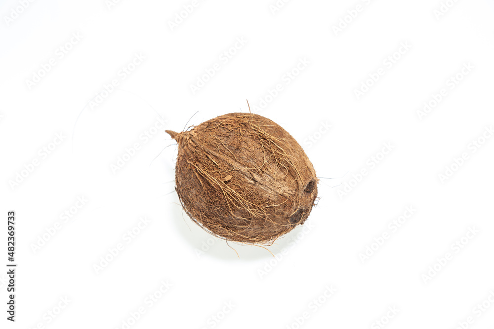 coconut on white background