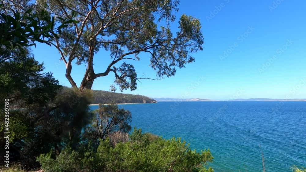 beautiful scenary of the Pacific Ocean and thick native vegetation shot from a vantage point during a hike in Southern Tasmania beautiful scenary of the Pacific Ocean and thick native vegetation shot from a vantage point during a hike in Southern Tasmania