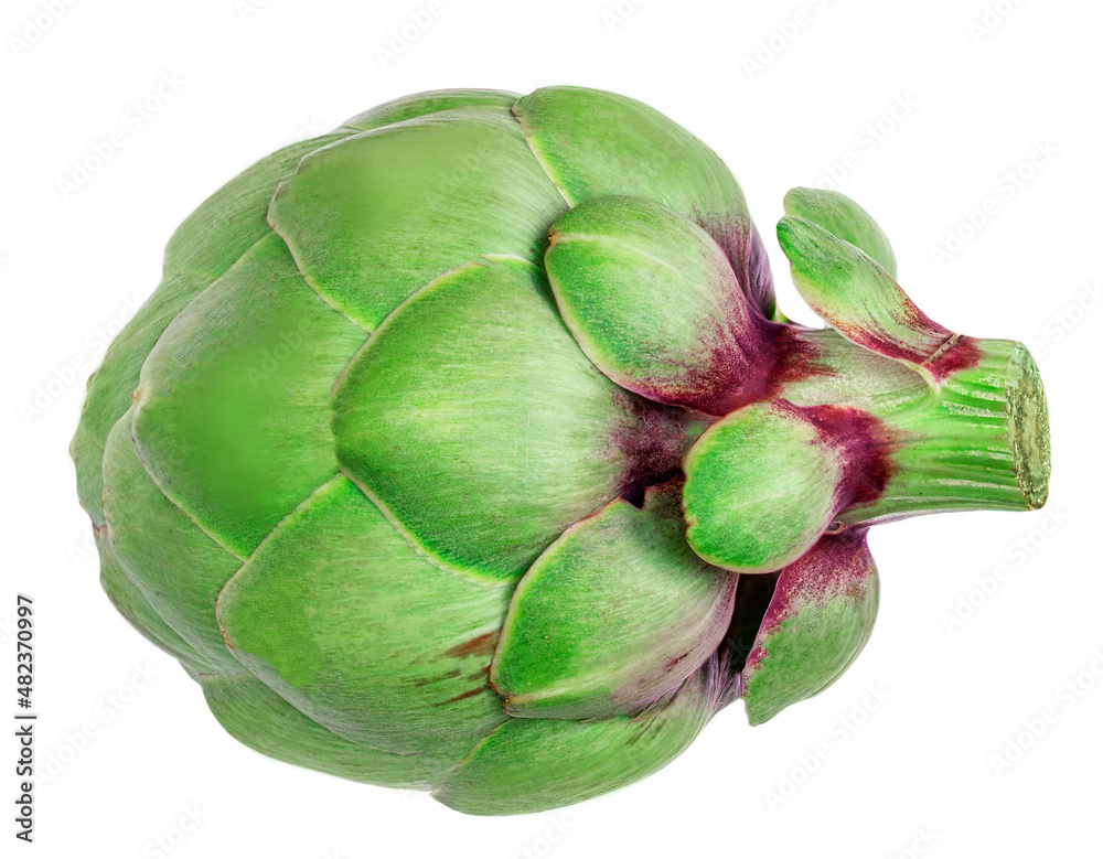 Fototapeta premium Fresh Artichoke isolated on white background. Raw Artichok Top view. Flat lay..