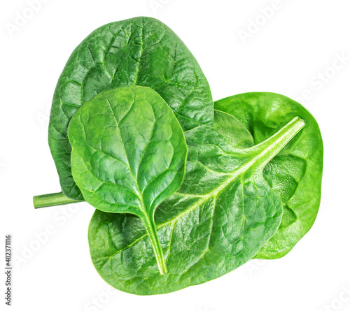 Pile of fresh green baby spinach leaves isolated on white background. Top view. Flat lay..