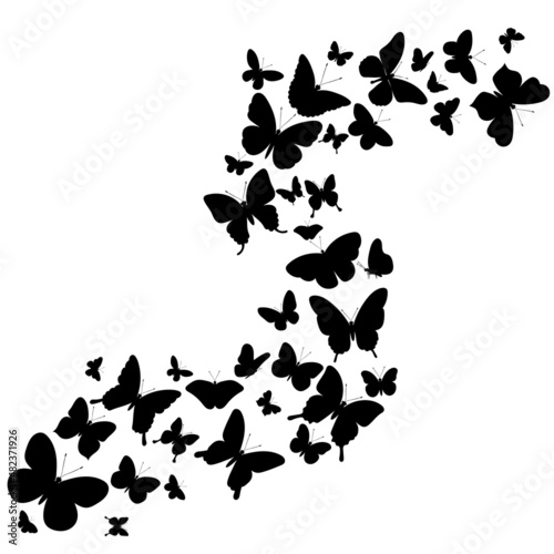 butterflies fly silhouette set, on white background, vector, isolated