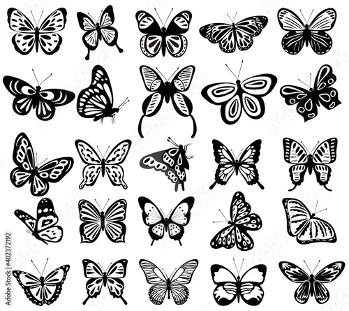 collection of butterflies set silhouette, on white background, vector, isolated