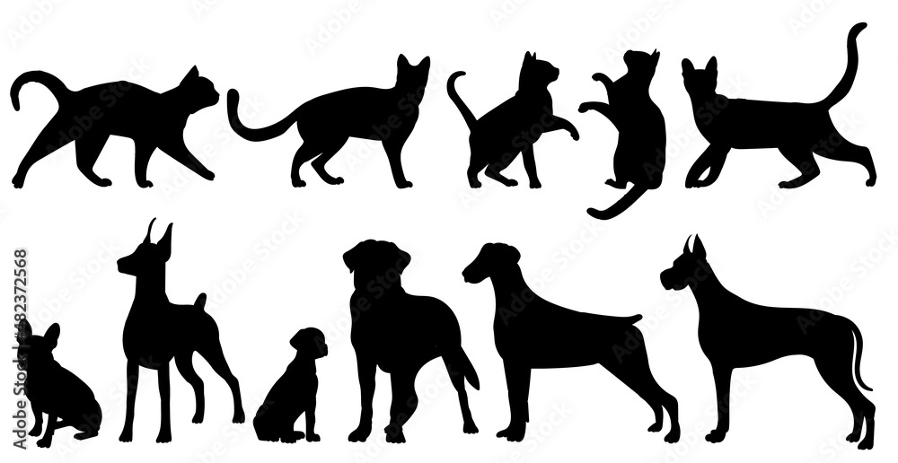 collection of cats and dogs set silhouette, on white background, vector, isolated