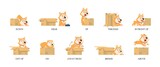 English preposition. Funny study prepositions, cartoon dog and box. Foreign language learning materials, grammar child education decent vector poster