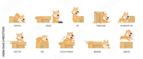 English preposition. Funny study prepositions, cartoon dog and box. Foreign language learning materials, grammar child education decent vector poster
