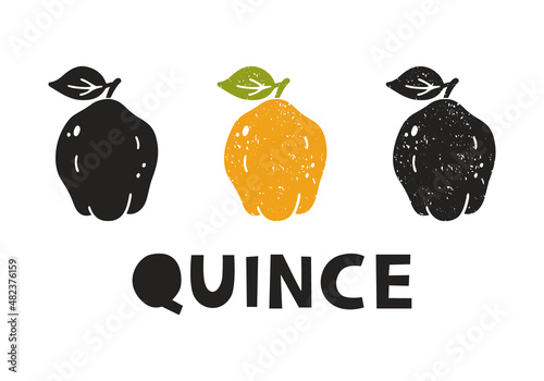 Quince, silhouette icons set with lettering. Imitation of stamp, print with scuffs. Simple black shape and color vector illustration. Hand drawn isolated elements on white background photo