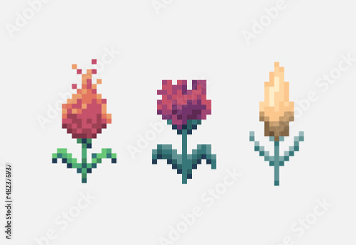 Collection of different flower icons in pixel art style