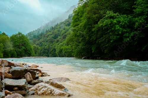 The emerald mountain river flows among the stones at the foot of the mountains, covered with dense bright greenery