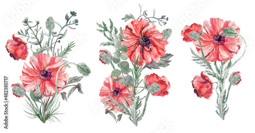 Set of watercolor bouquets of red poppies with herbs drawn in vintage style isolated on white background for postcards and various designs