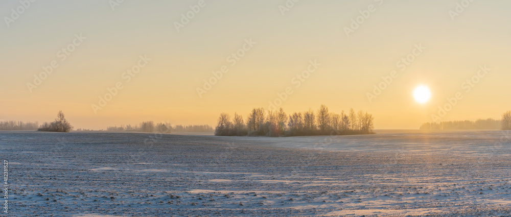 Winter landscape in snow nature with sun, field and trees. Magical winter sunset in a snow field.