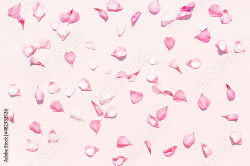Delicate pink solid background with geranium petals