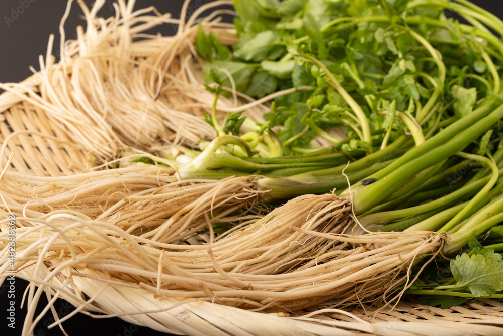 《秋田県・湯沢市産》三関セリ