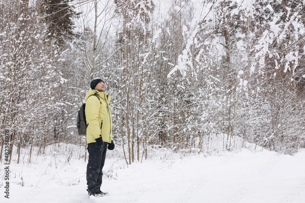 Rear view of young man with backpack in yellow jacket walking in snowy pine forest in winter. People from behind. Local travel, exploring nature.