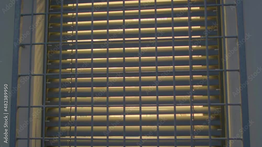 Window protection against intrusion. Metal rods form a lattice