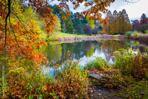 Fototapeta Naklejka Na Ścianę i Meble -  Autumn in park