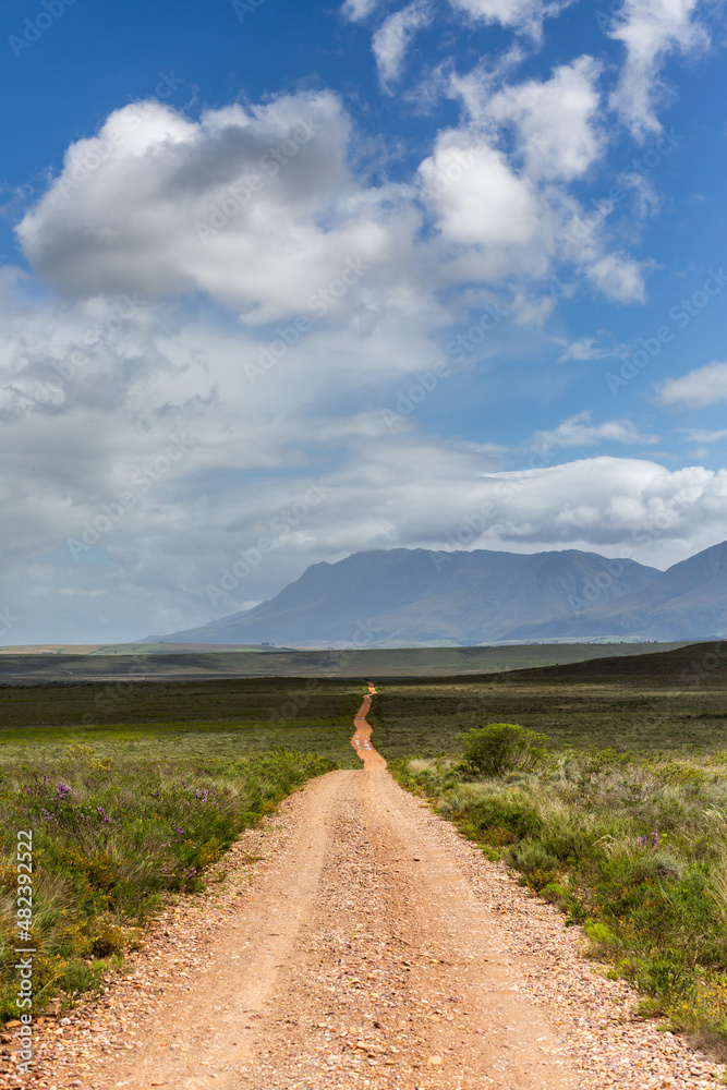 long dirt road leading into the middle of nowhere long dirt road leading into the middle of nowhere