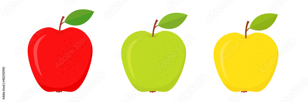 Fototapeta premium Set of red, green and yellow apples. Fresh color fruits collection. Healthy food concept. Vector illustration isolated on white.
