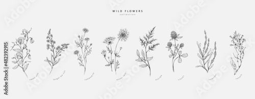 Billede på lærred Trendy floral branch and minimalist flowers for logo or decorations