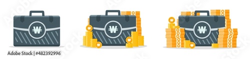 Korean Won Money Case Icons