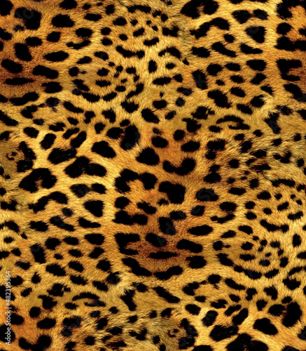 Leopard skin pattern jaguar design seamless for print