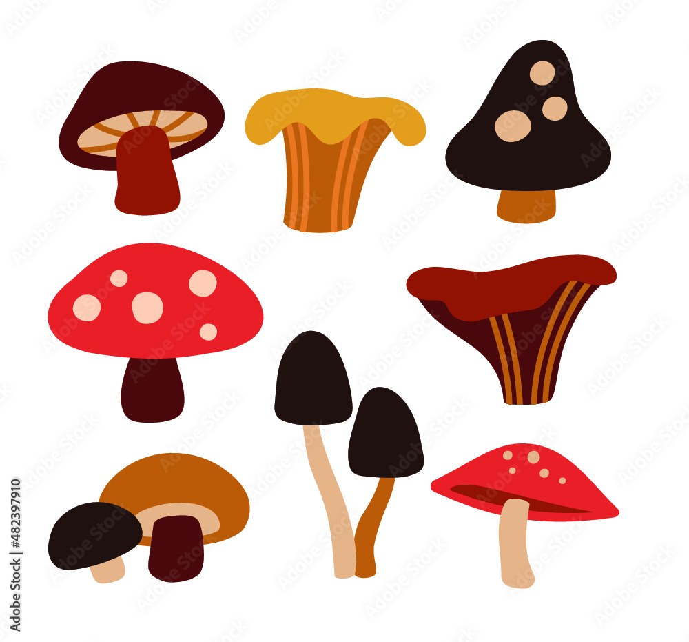 set of mushrooms