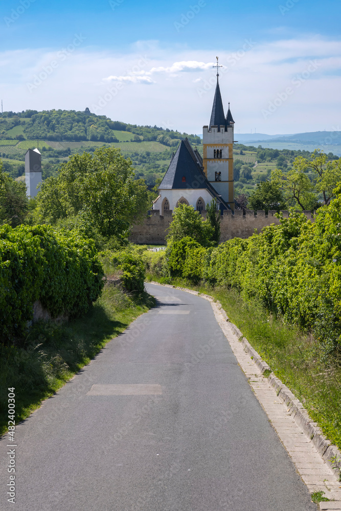 View along a path to the castle church of Ingelheim/Germany in spring 