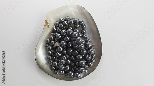 Black pearl necklace in oyster. Black pearls in a shell.Banner with a white background. Nacre. Thai pearl.