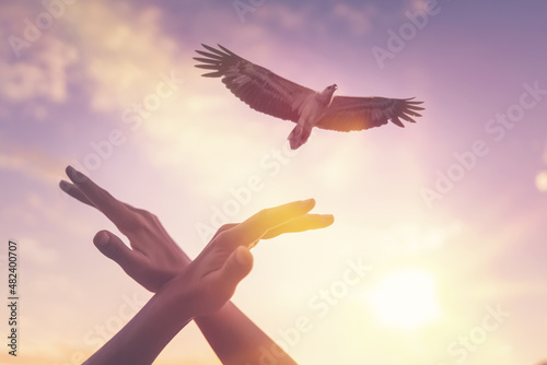 Man hand shape of bird and eagle flying on sunset sky abstract background. Freedom and nature concept.