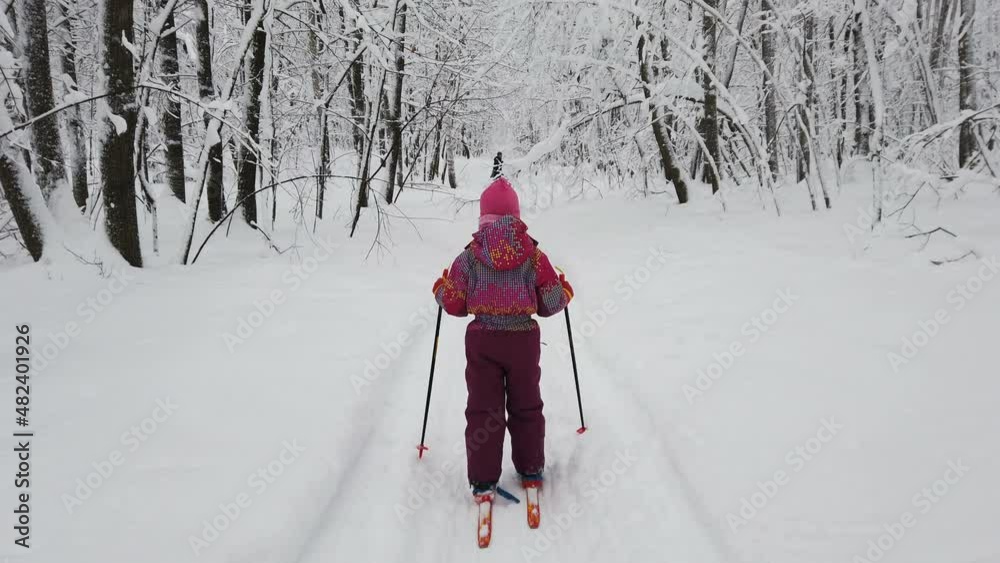 child rides cross-country skiing view from the back child rides cross-country skiing view from the back